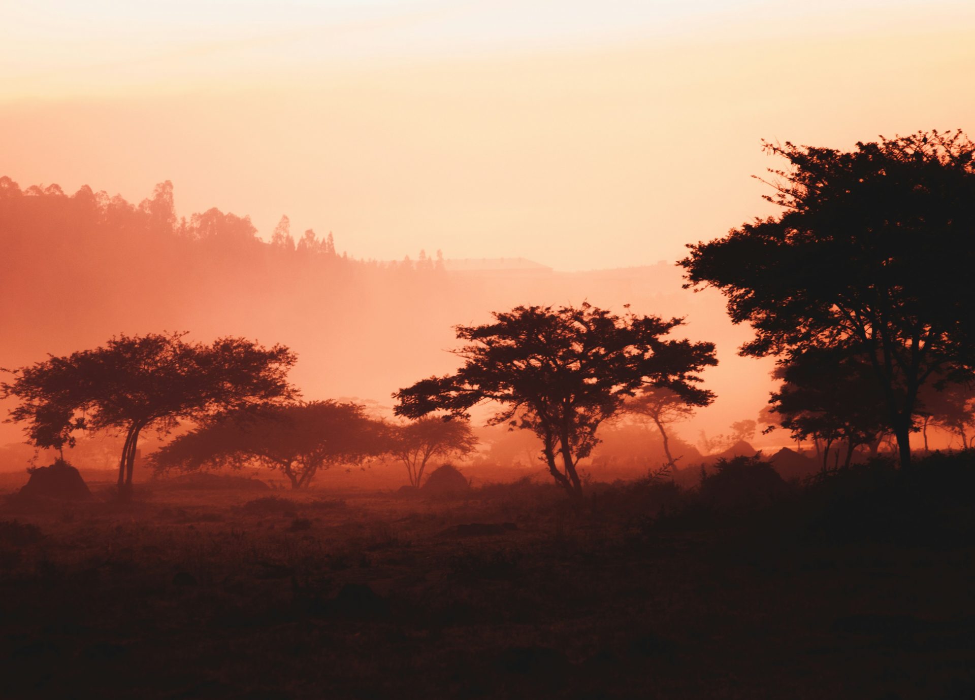Deep Learning Indaba 2025 in Rwanda