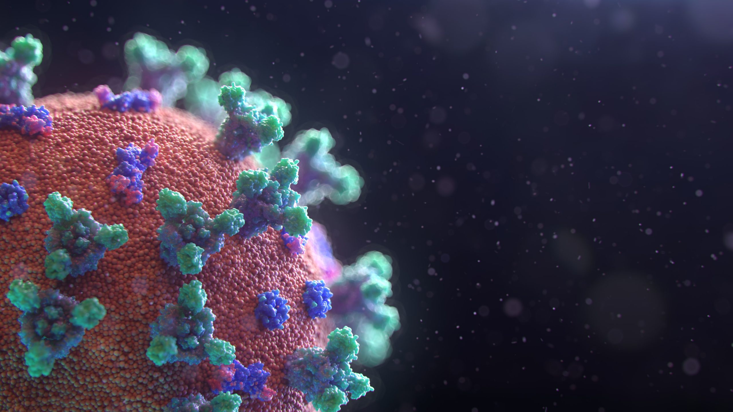 The 2020 Indaba and the Coronavirus Pandemic